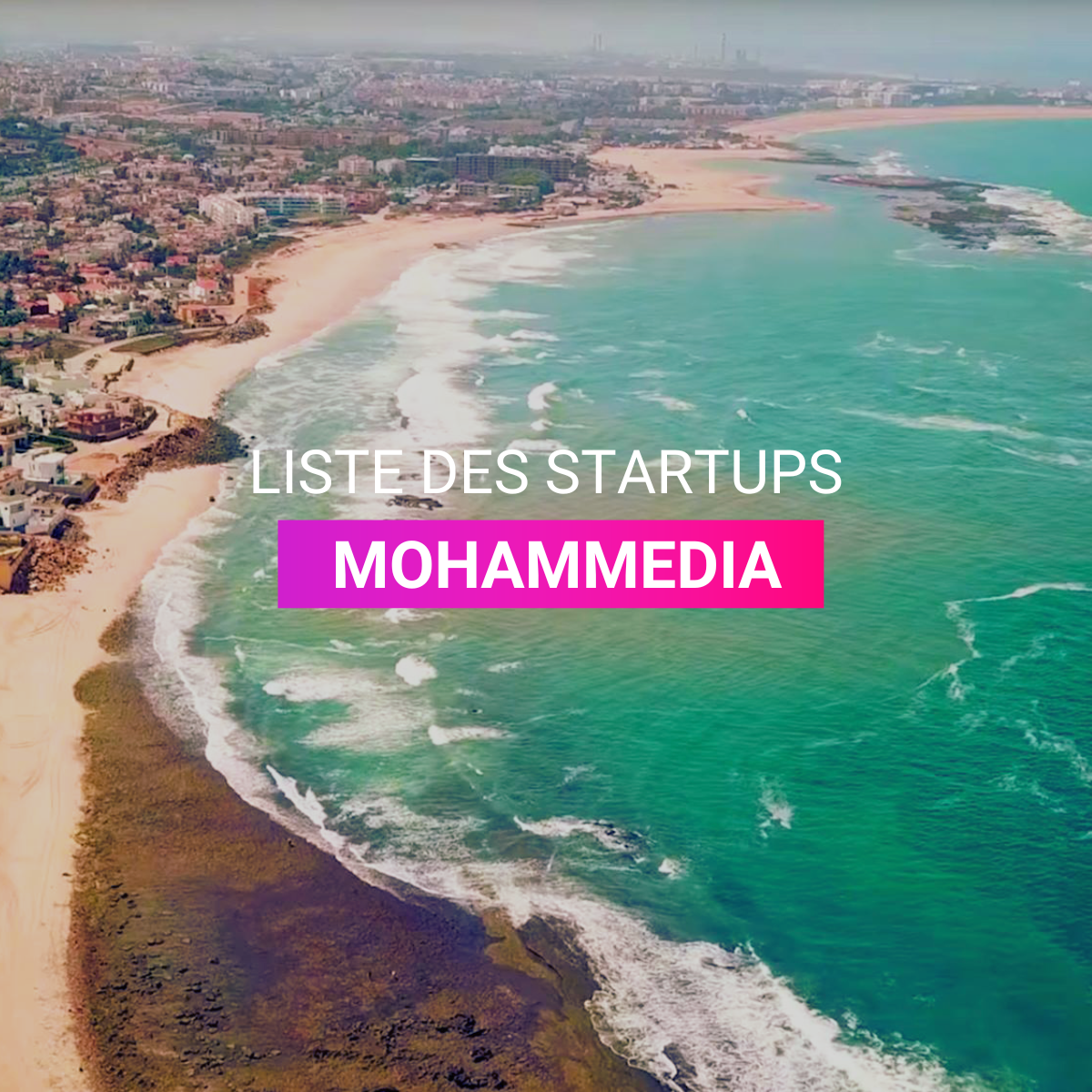 Liste des startup Mohammedia | Start-up.ma